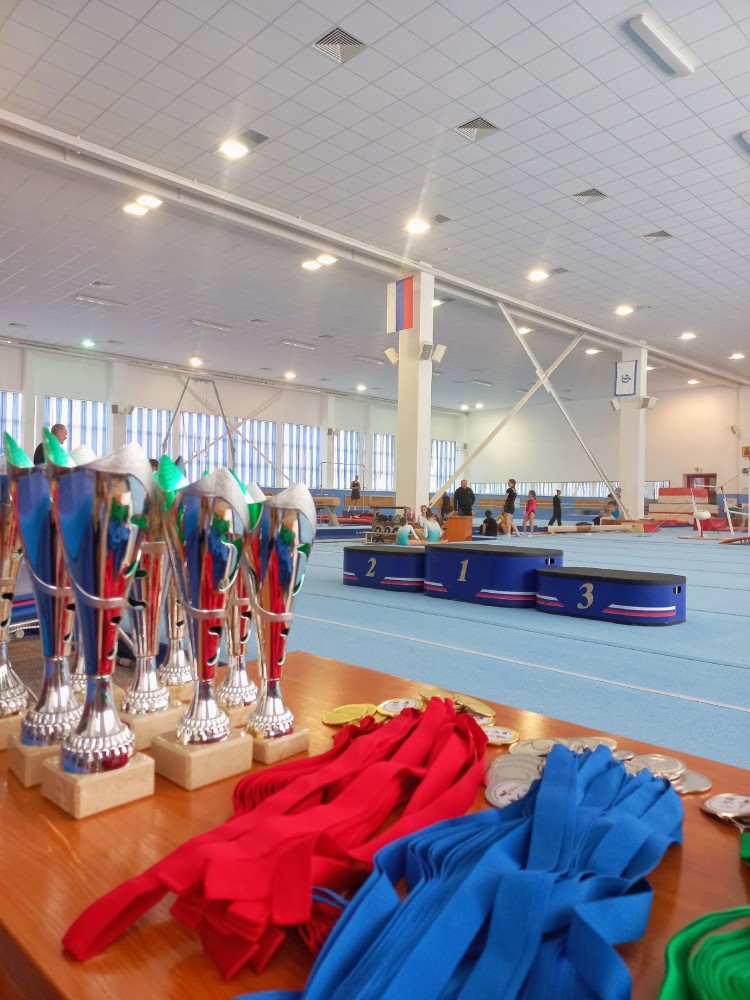 Калужская школьная лига по спортивной гимнастике 2025 Калужская школьная лига по спортивной гимнастике 2025