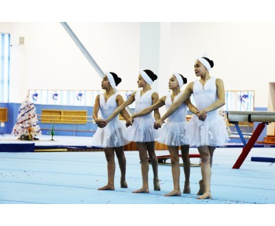 Новогодняя сказка 27.12.2015 №1