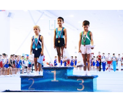 Первенство Калужской области по спортивной гимнастике 2016год №3