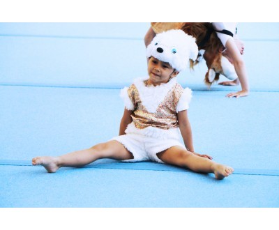 Первенство Калужской области по спортивной гимнастике 2016год №3