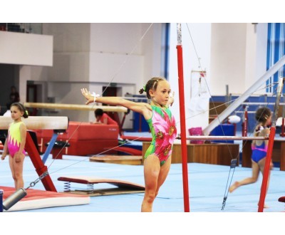 Первенство Калужской области по спортивной гимнастике 2016год №2