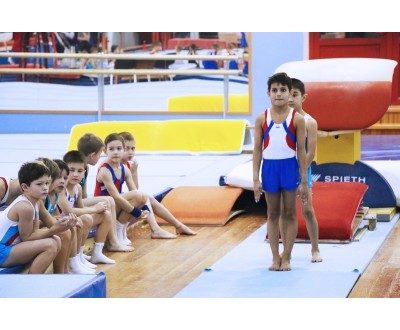 Открытое Первенство Калужской области по спортивной гимнастике, посвященное 2017 году. №6