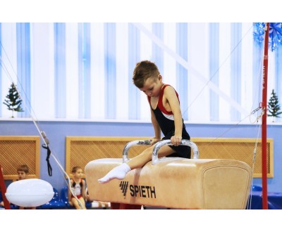 Открытое Первенство Калужской области по спортивной гимнастике, посвященное 2017 году. №1