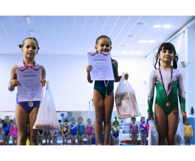 Открытое Первенство Калужской области по спортивной гимнастике, посвященное 2017 году. №6