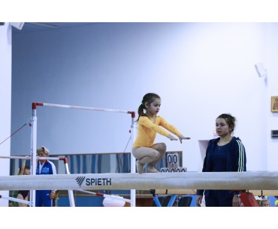 Открытое Первенство Калужской области по спортивной гимнастике, посвященное 2017 году. №7