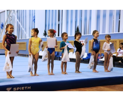 Открытое Первенство Калужской области по спортивной гимнастике, посвященное 2017 году. №3