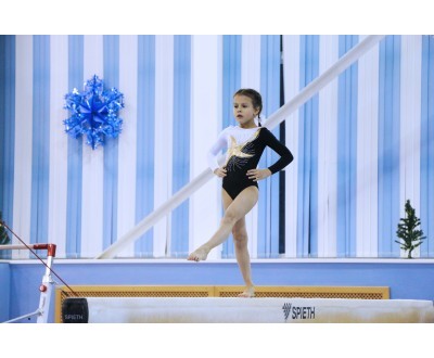 Открытое Первенство Калужской области по спортивной гимнастике, посвященное 2017 году. №2