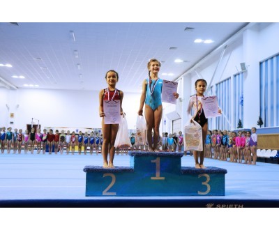Открытое Первенство Калужской области по спортивной гимнастике, посвященное 2017 году. №5