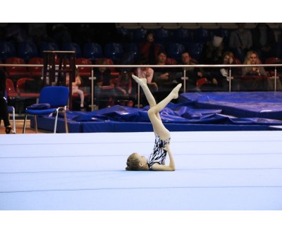 Открытое Первенство Калужской области по спортивной гимнастике, посвященное 2017 году. №1