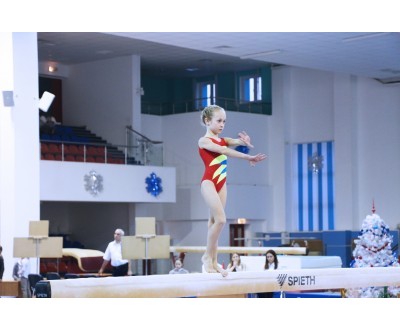 Открытое Первенство Калужской области по спортивной гимнастике, посвященное 2017 году. №1