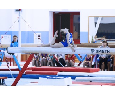 Открытое Первенство Калужской области по спортивной гимнастике, посвященное 2017 году. №2