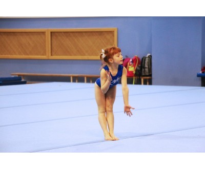 Открытое Первенство Калужской области по спортивной гимнастике, посвященное 2017 году. №1